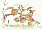 Mills-apples